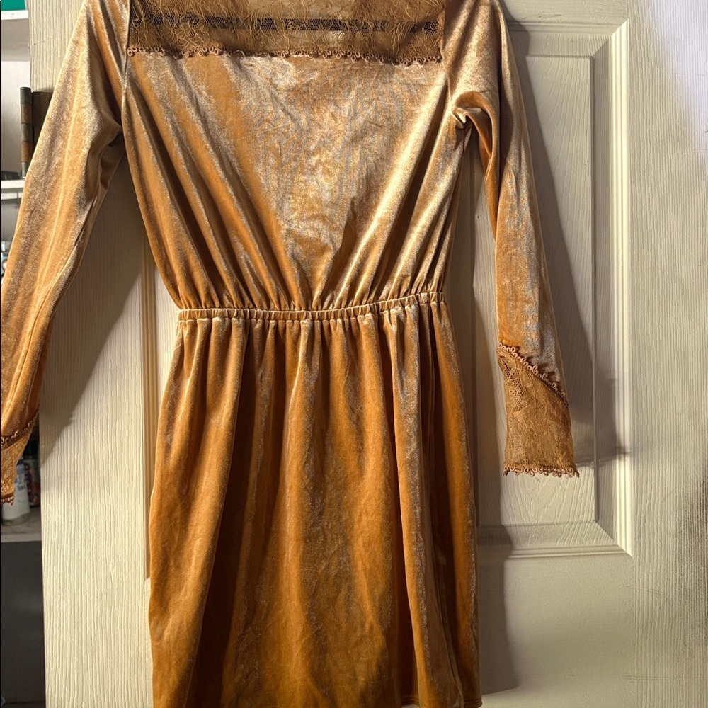 H&M Champagne Velvet Dress - Picture 3 of 4